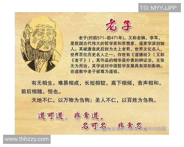 谢什科的传奇人生与文化影响探讨之旅